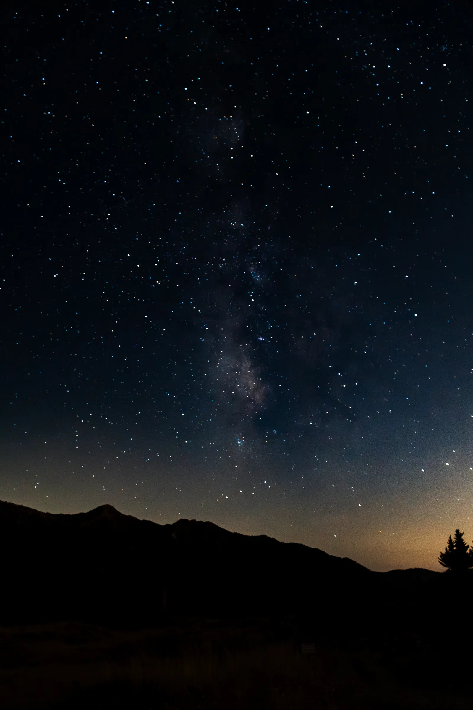 Perseids